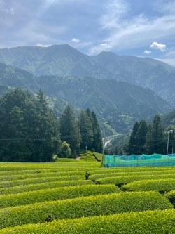 image1 - コピー.jpg