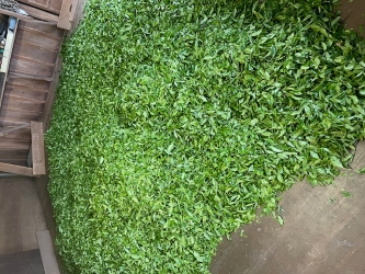 image2 - コピー.jpg