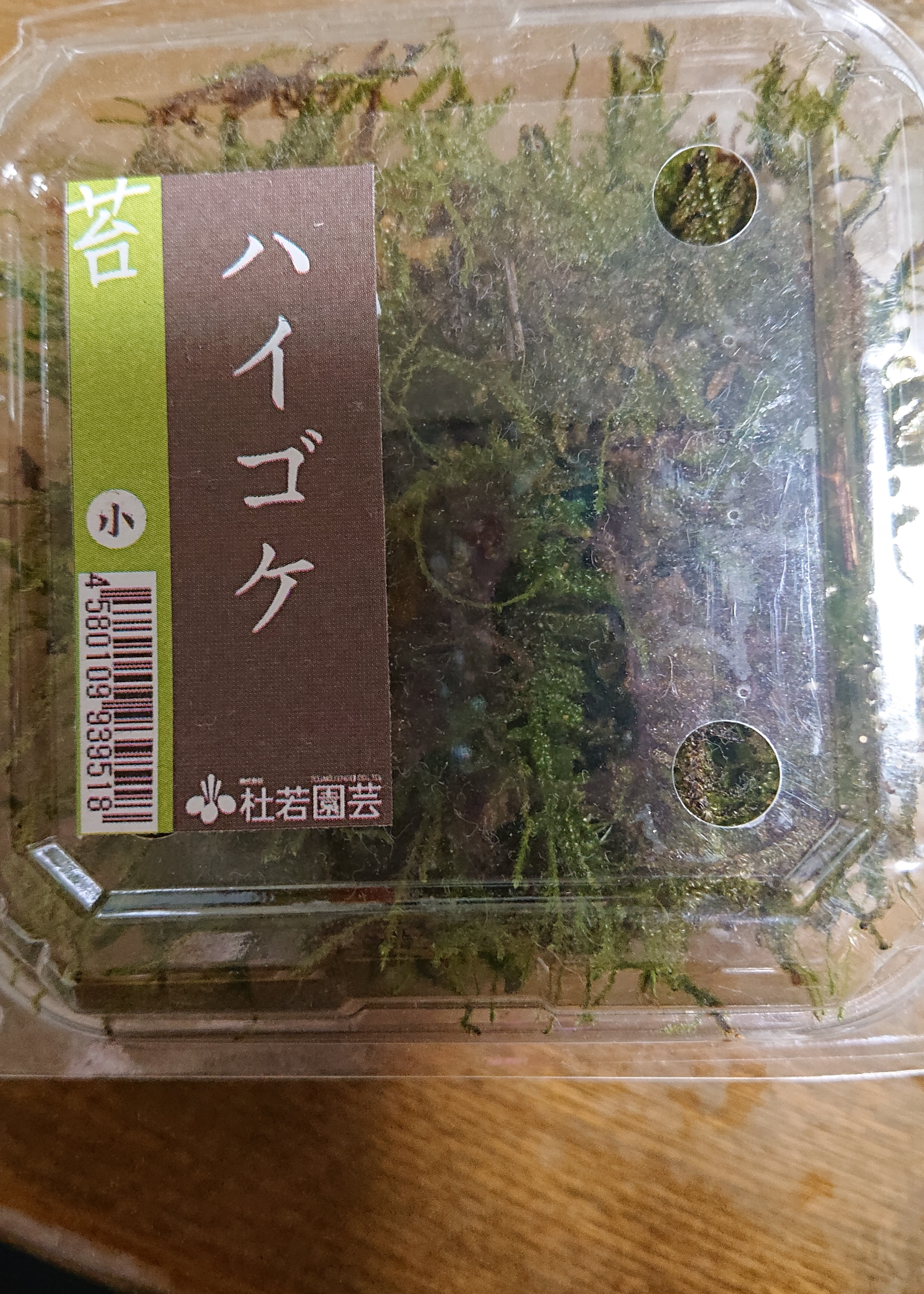 https://blog.magokorokaigo.com/staffblog/fuchinobe-gh/DSC_1505.JPG