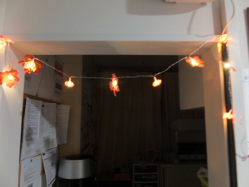 DSCF9358.JPG
