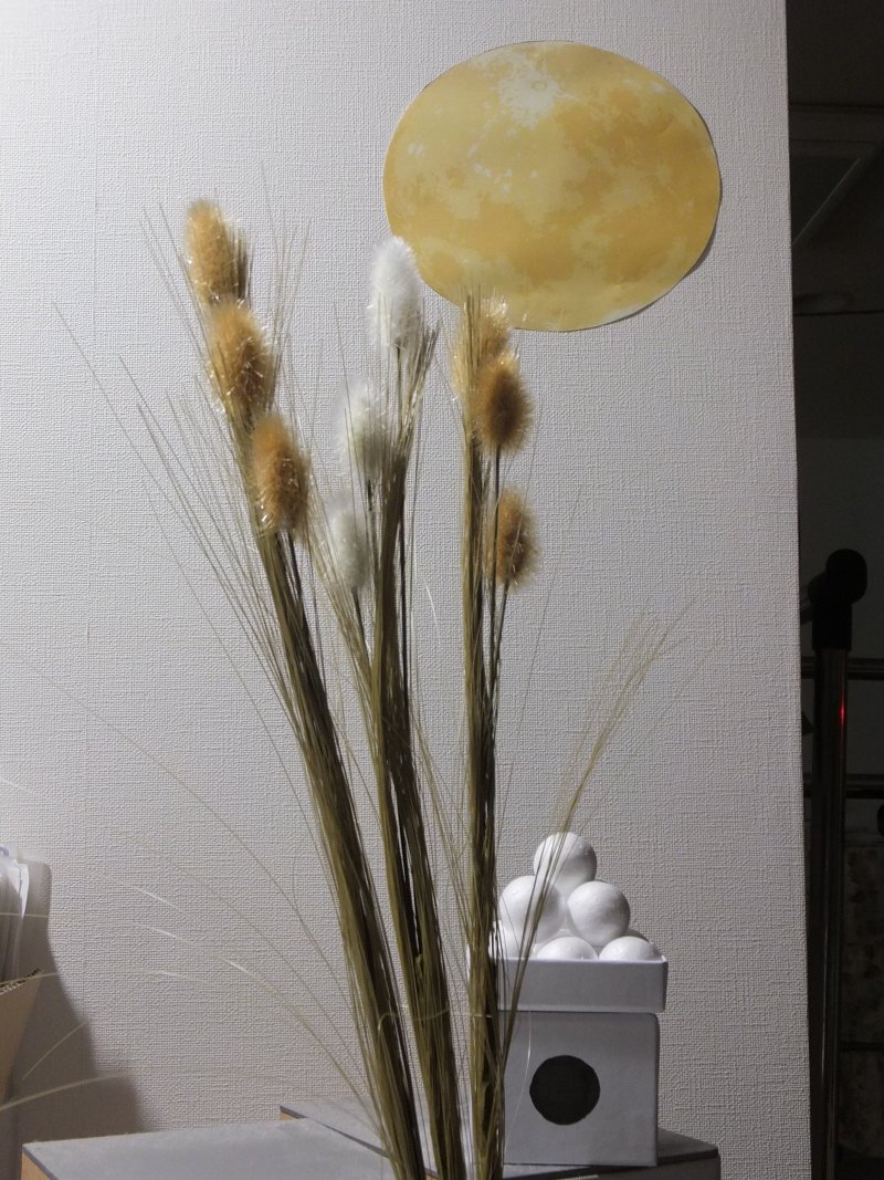 DSCF9360.JPG