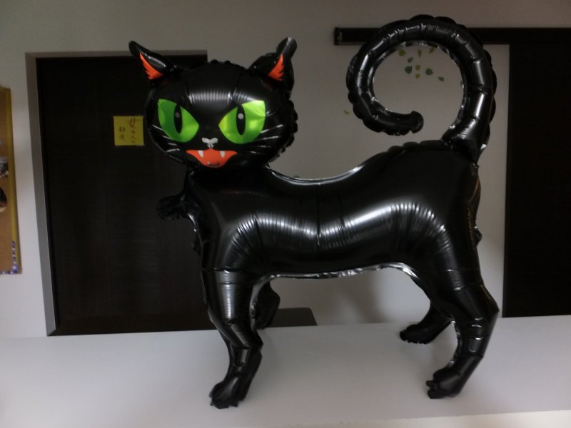 DSCF9367.JPG