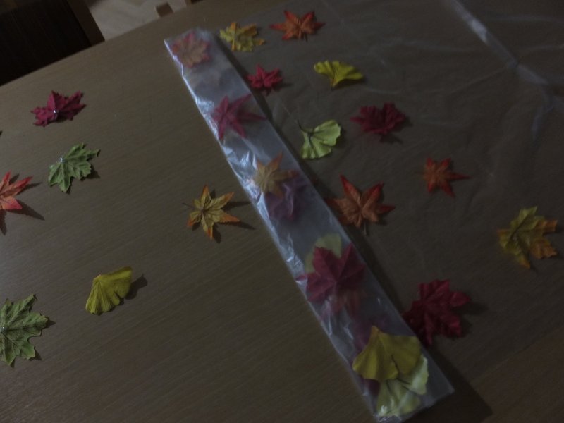 DSCF9370.JPG