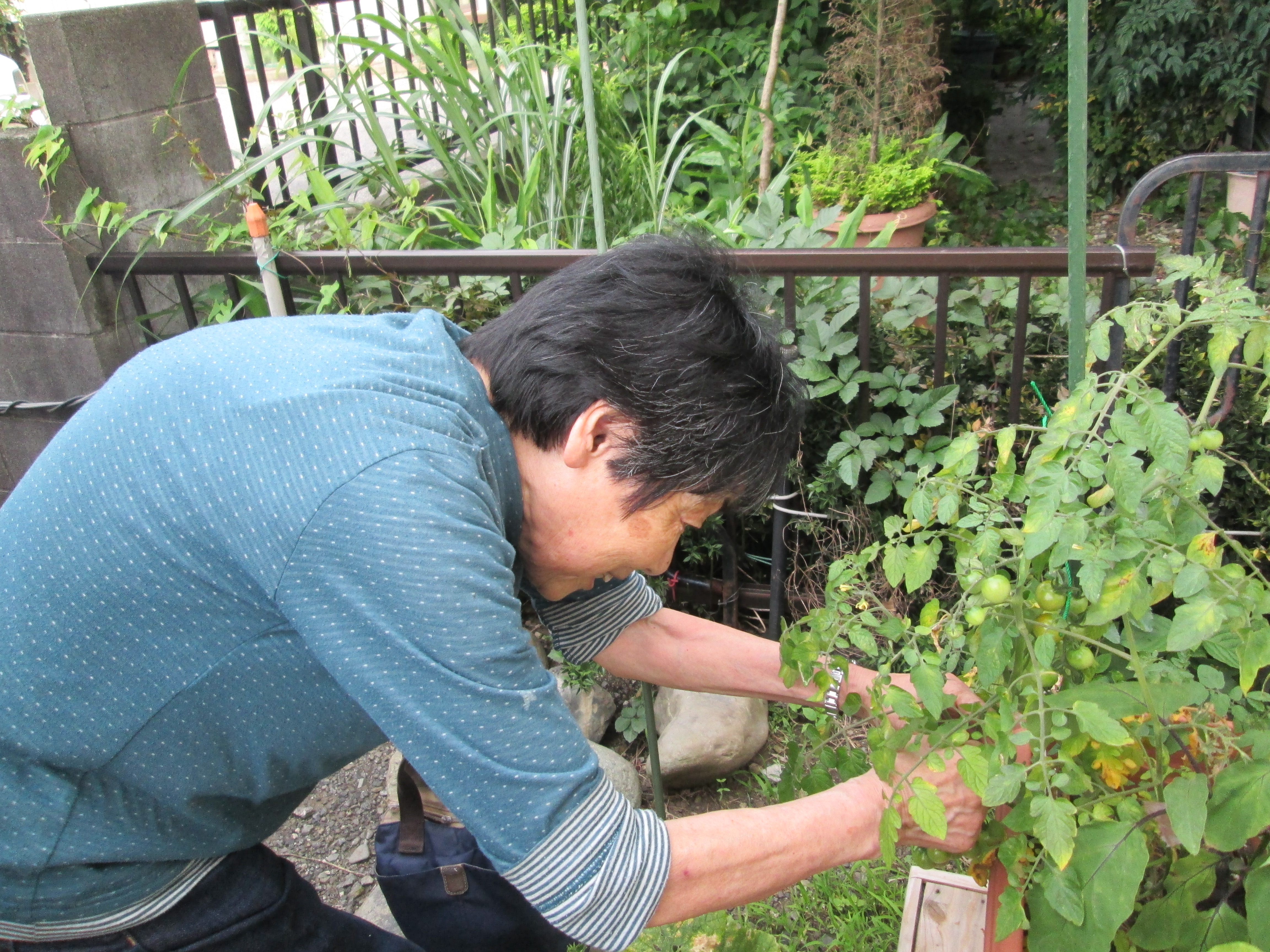 https://blog.magokorokaigo.com/staffblog/fuchinobe-sh/2023/06/29/230629-2a.JPG