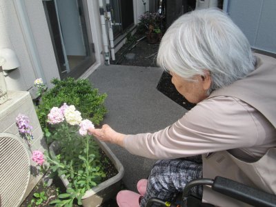 IMG_6678.JPG