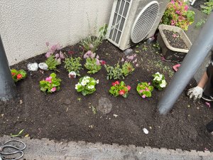 IMG_0385[1].JPG