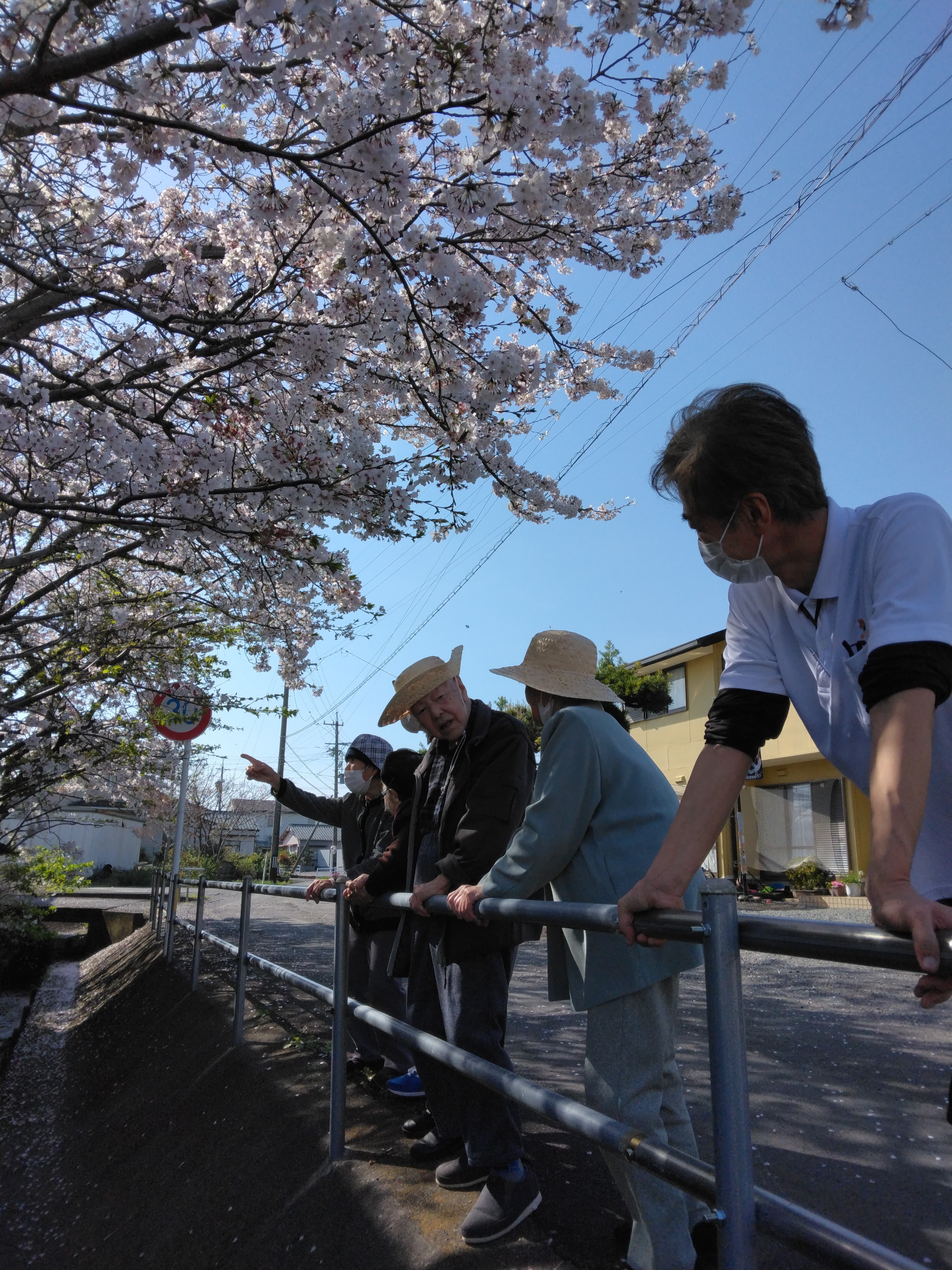 https://blog.magokorokaigo.com/staffblog/fujieda-dy/%E5%B9%B3%E4%BA%95%E3%81%95%E3%82%93%E3%81%A8%E8%8A%B1%E8%A6%8B.jpg