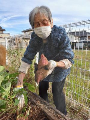 くりさんといも.jpg