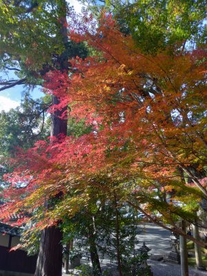 神社２.jpg