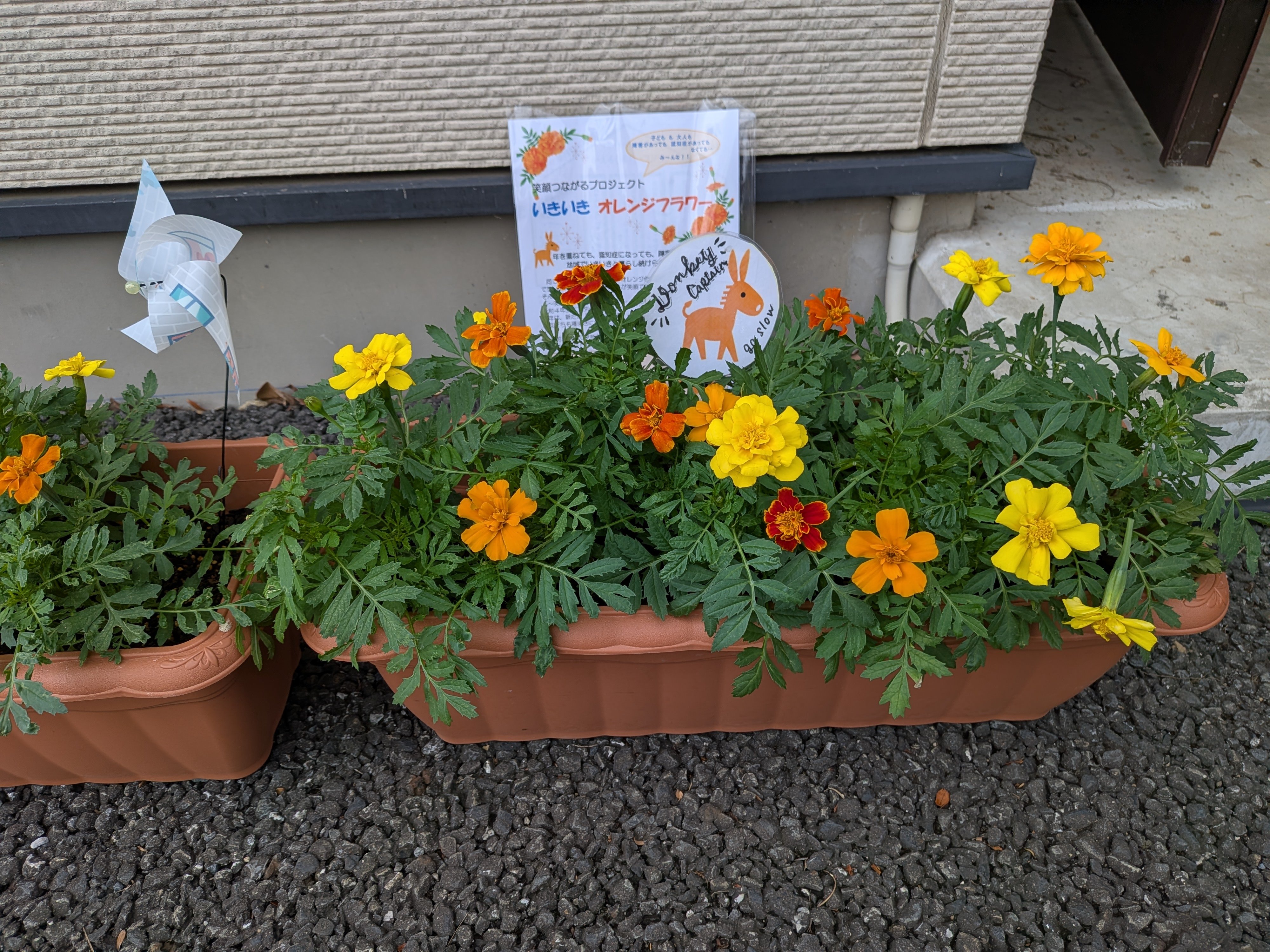 ぷろじぇKと2.jpg