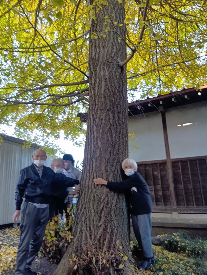 251117141602396 (1).JPG