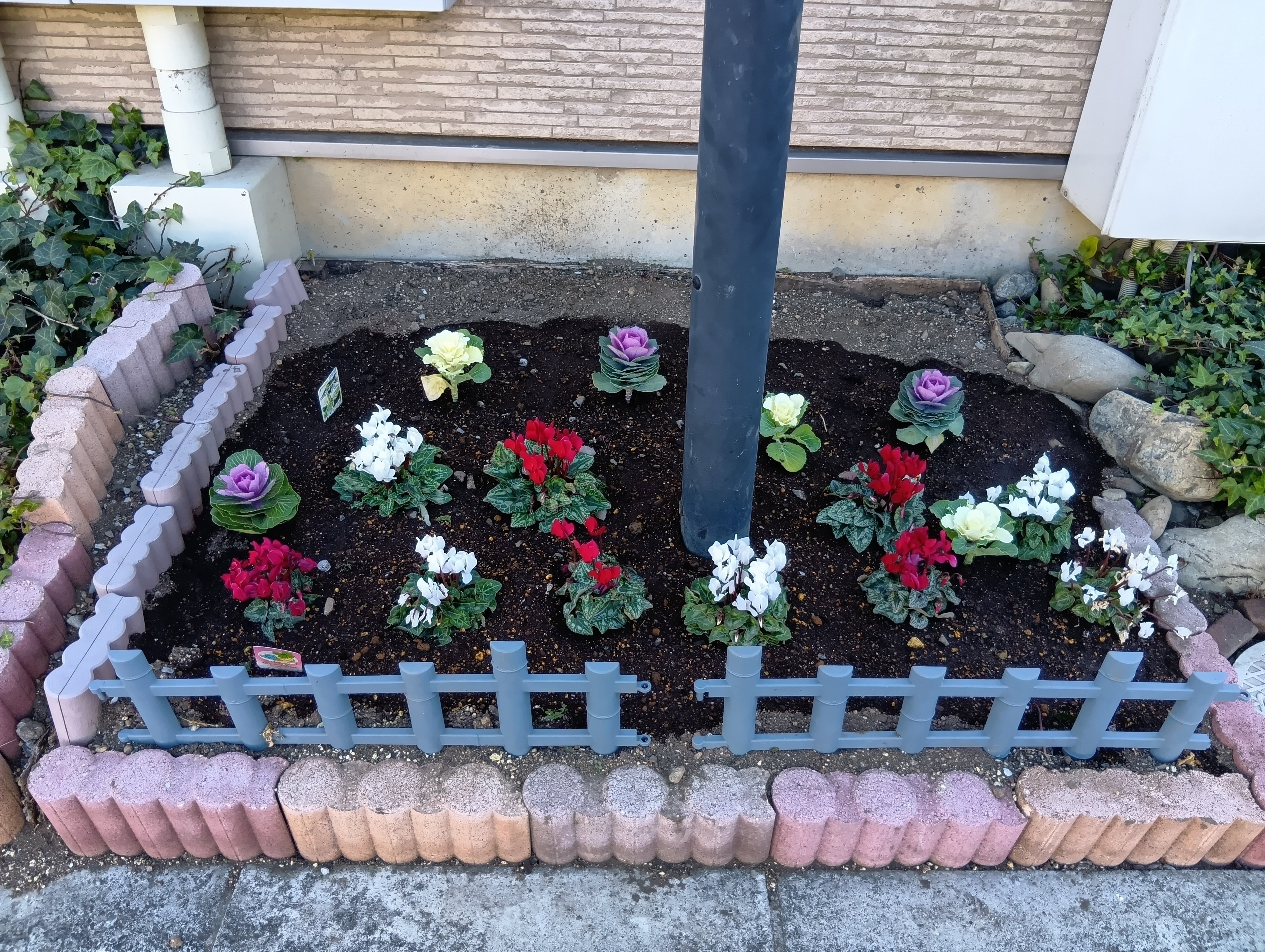 251212124623561 (1).JPG