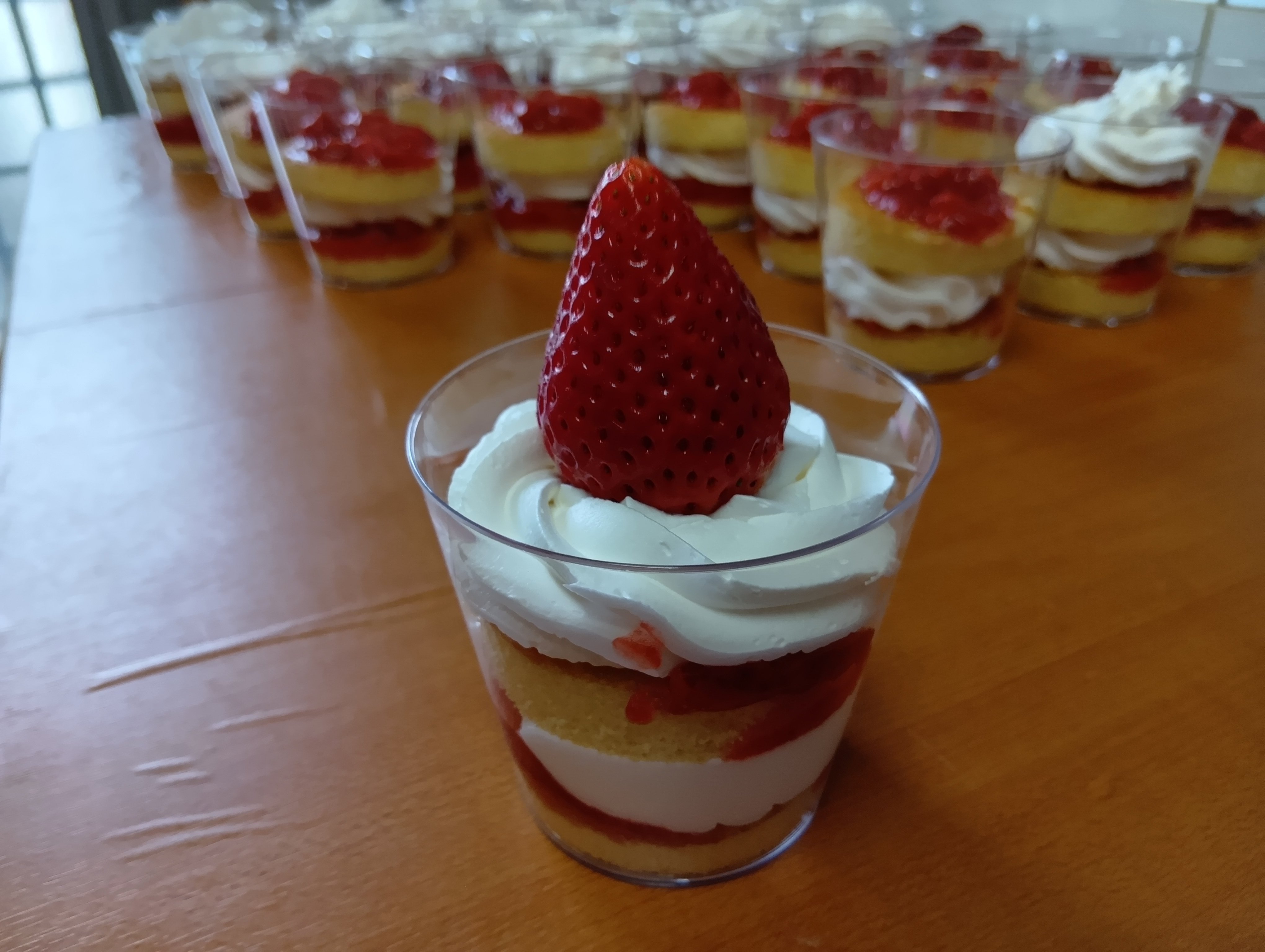 251223134916996 (1).JPG