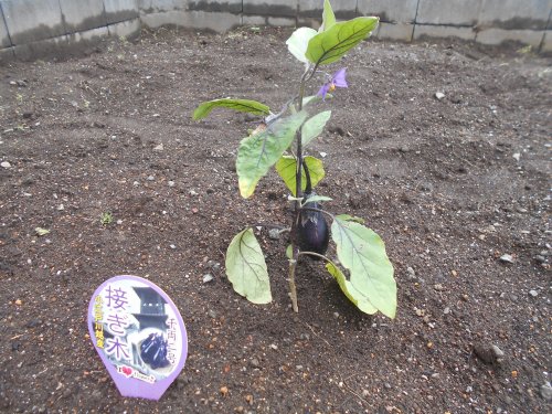 DSCN4113.JPG