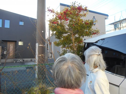 DSCN4994 - コピー (2).JPG