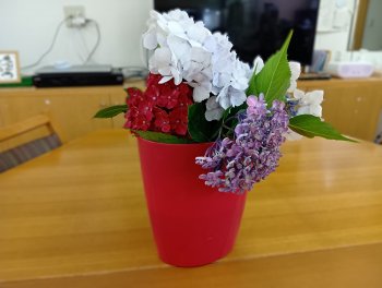250612144115613.JPG