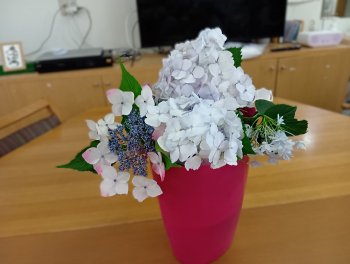 250612144105982.JPG