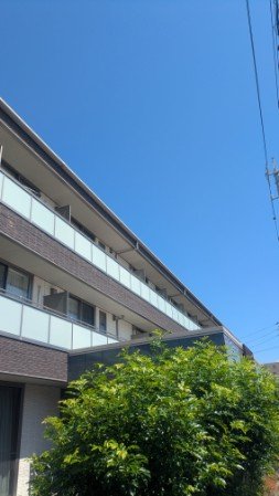 PXL_20250908_014448247.jpg