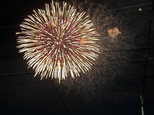 IMG_8303.JPG