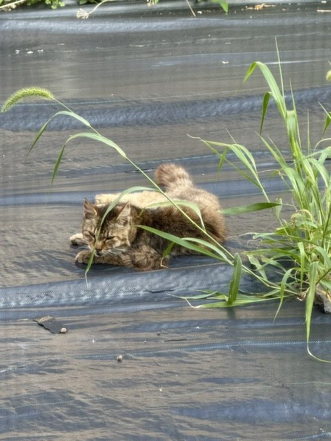 image3 (2).jpeg