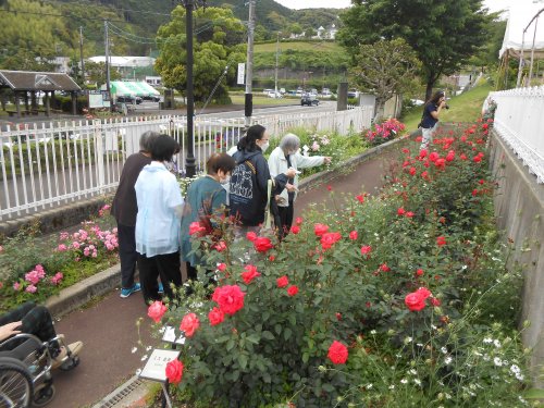 DSCN9309.JPG