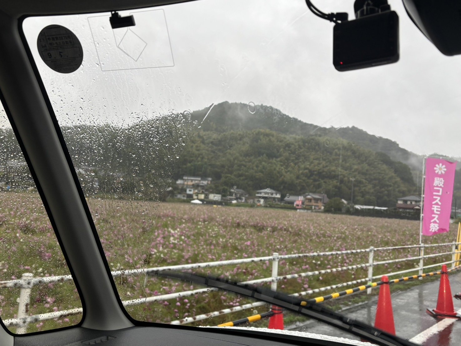 コスモスドライブ (1).jpeg