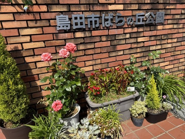 image0 (7).jpeg
