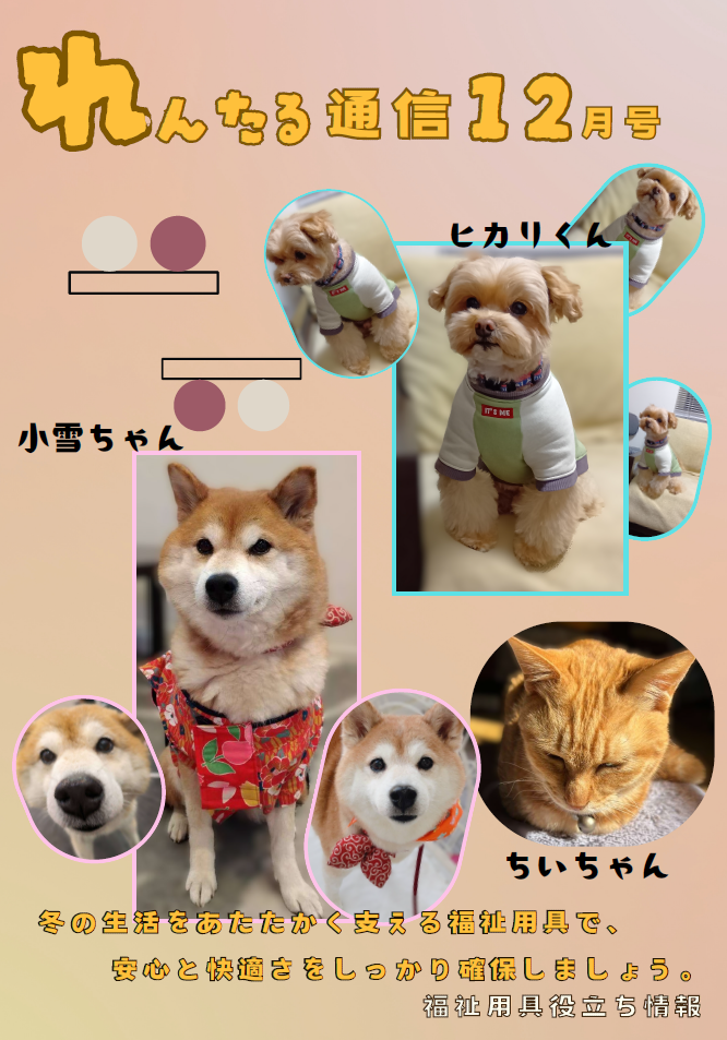 スクリーンショット (1398).png