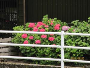 IMG_2799.JPG