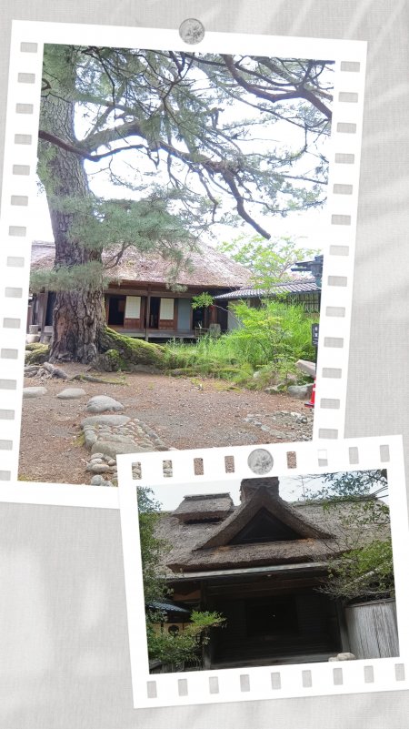 20260809_195848-COLLAGE.jpg