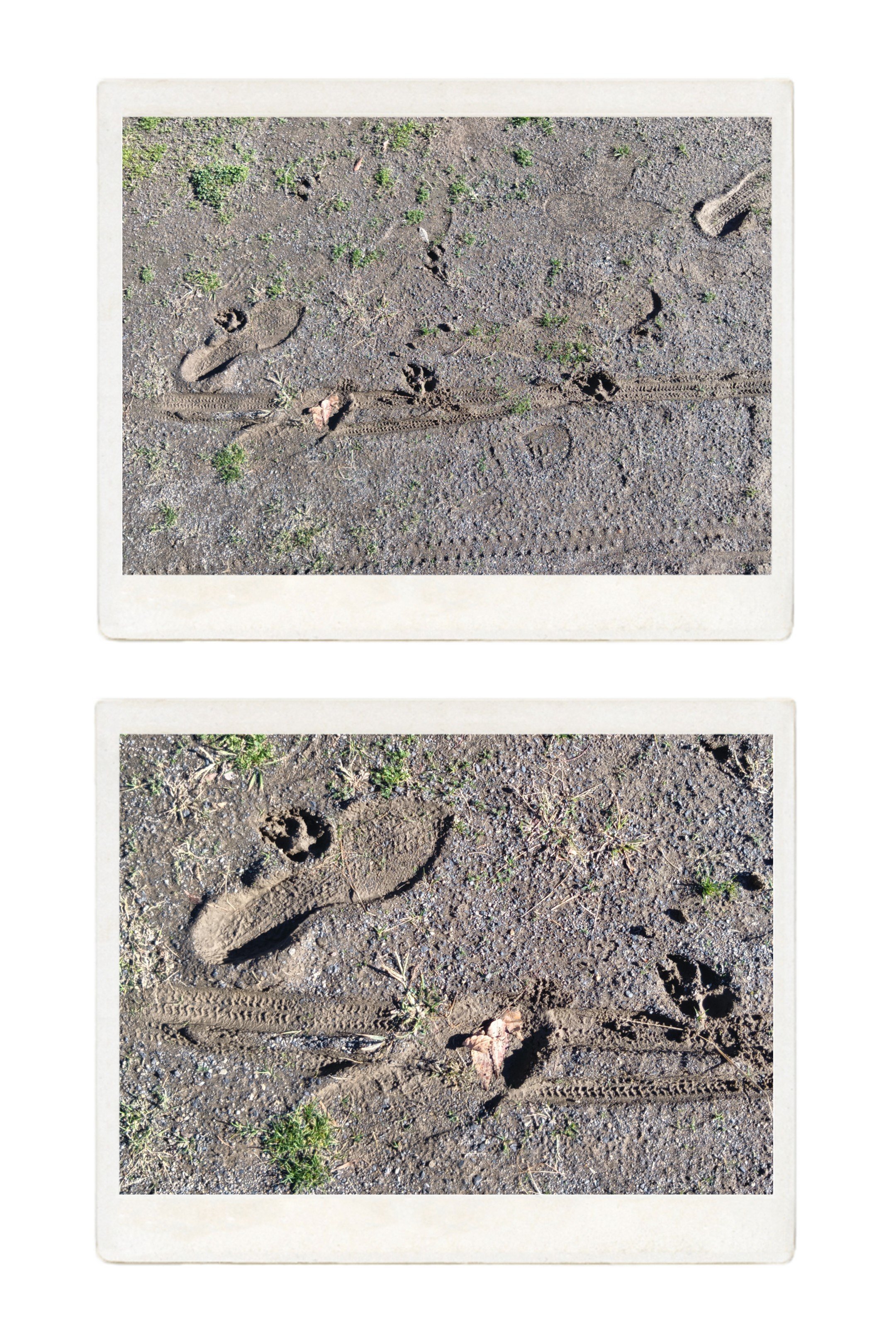 20261014_101730-COLLAGE.jpg