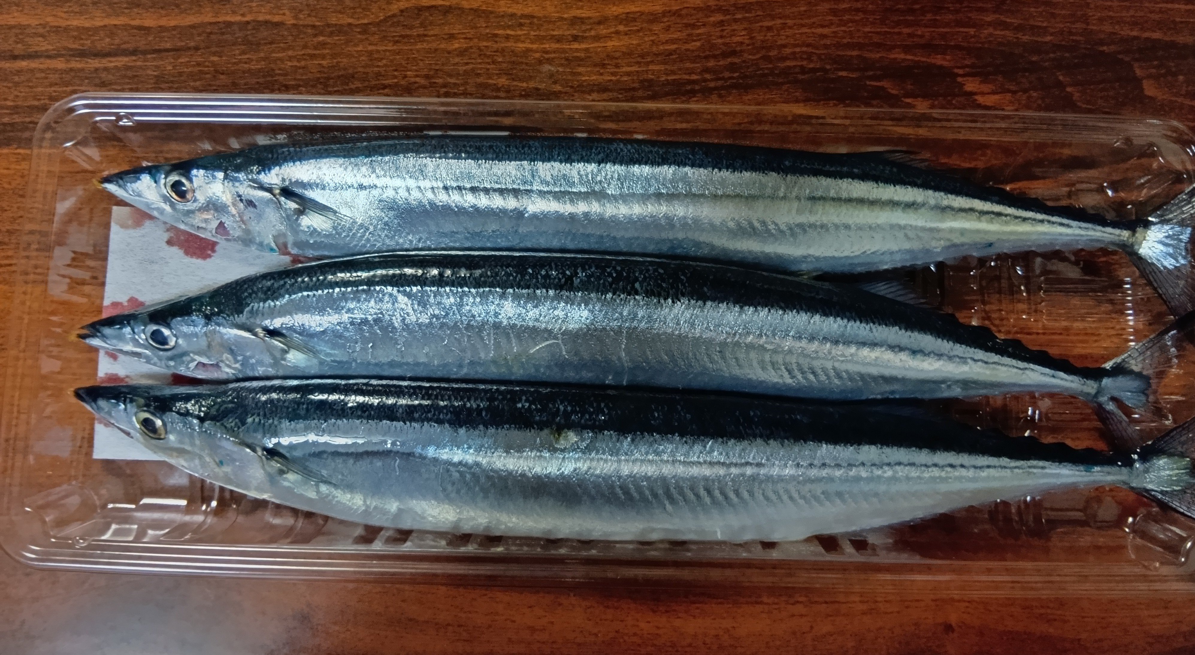 250910210400738.JPG