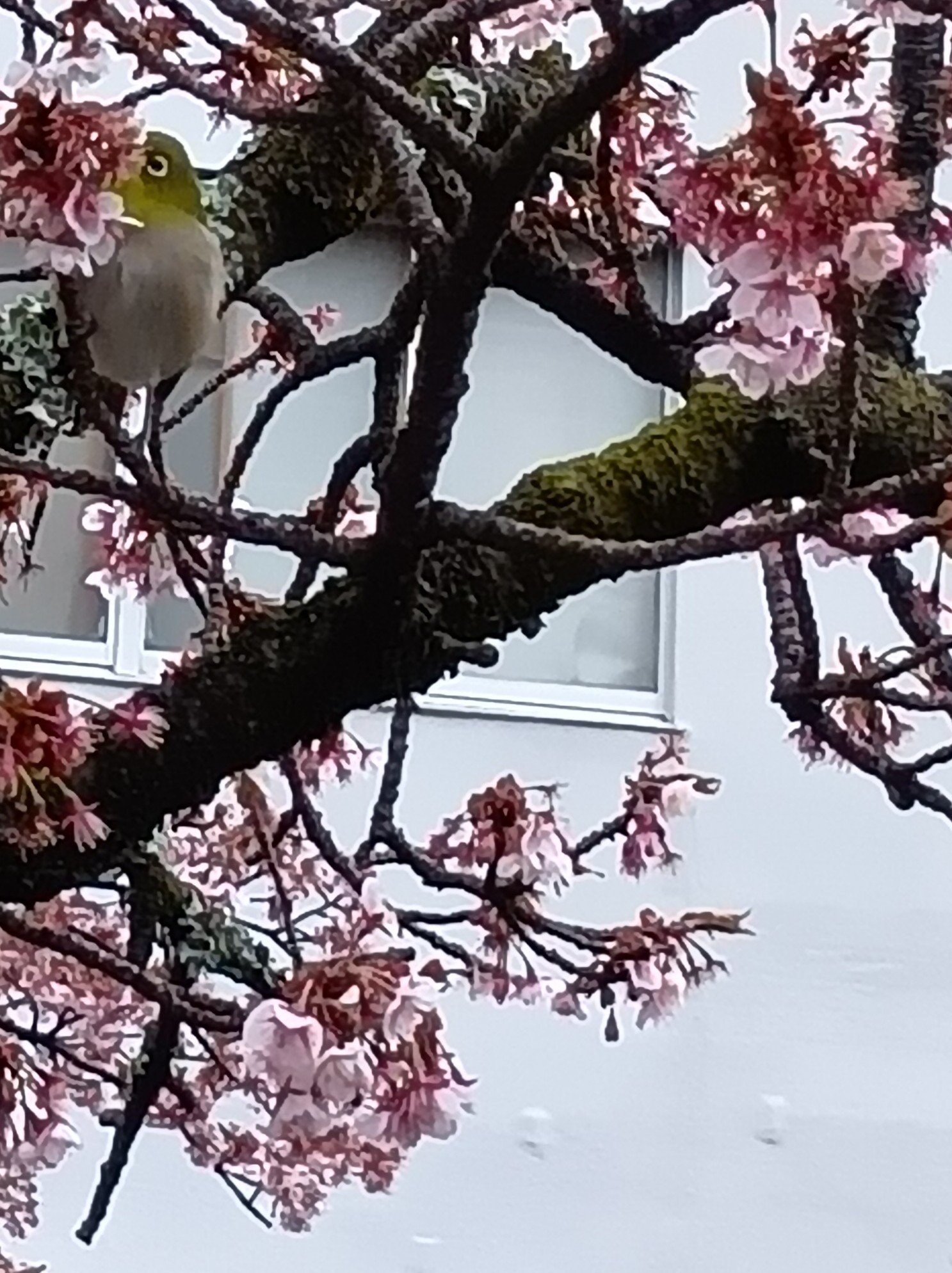 260207101244125 (1).JPG