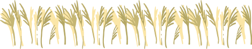 87453_2.png