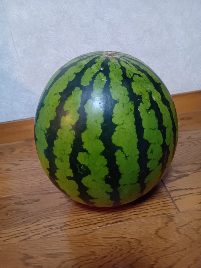 260815185045341.JPG