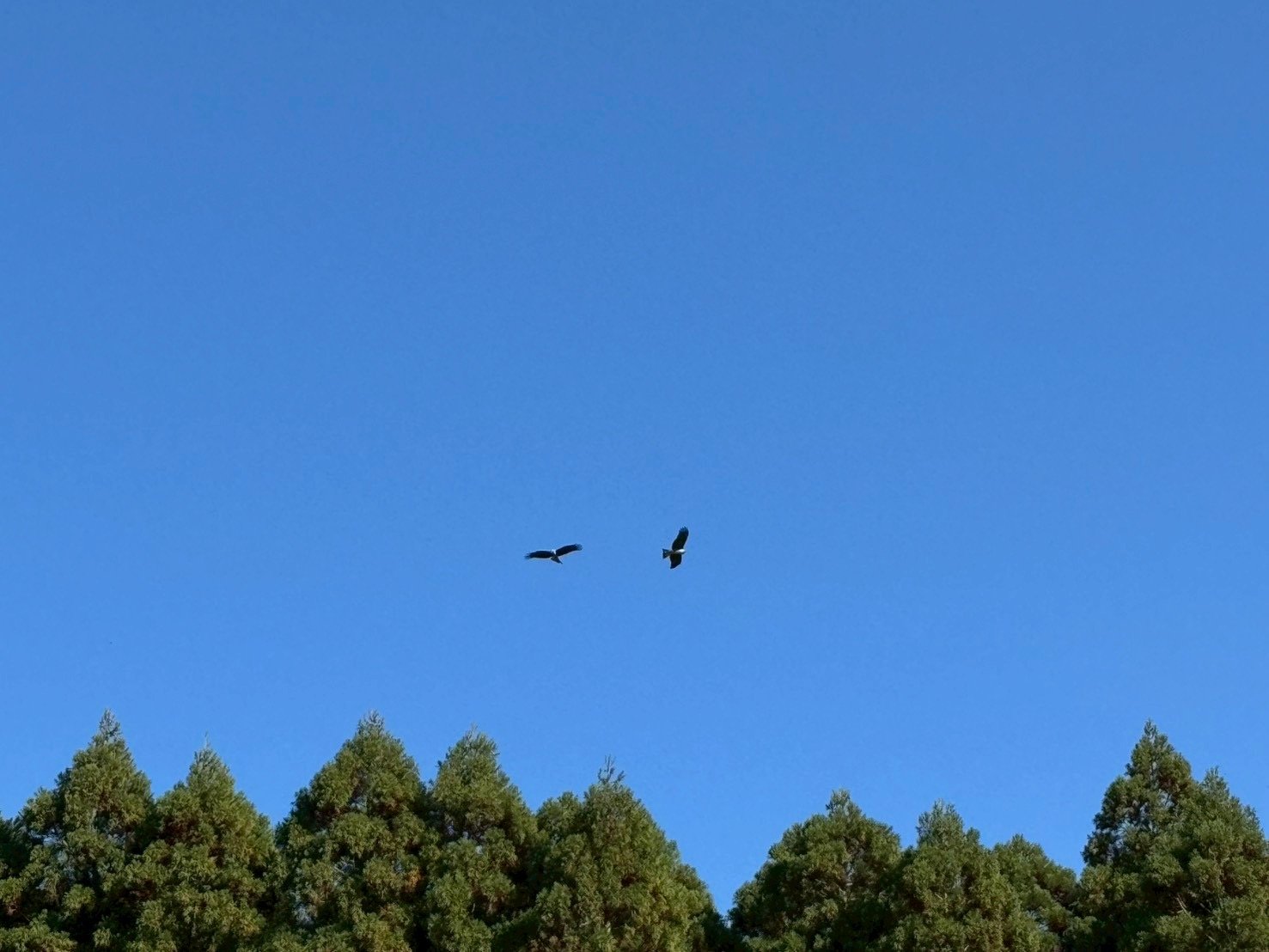 saved_file_1761784313882 (4).JPG