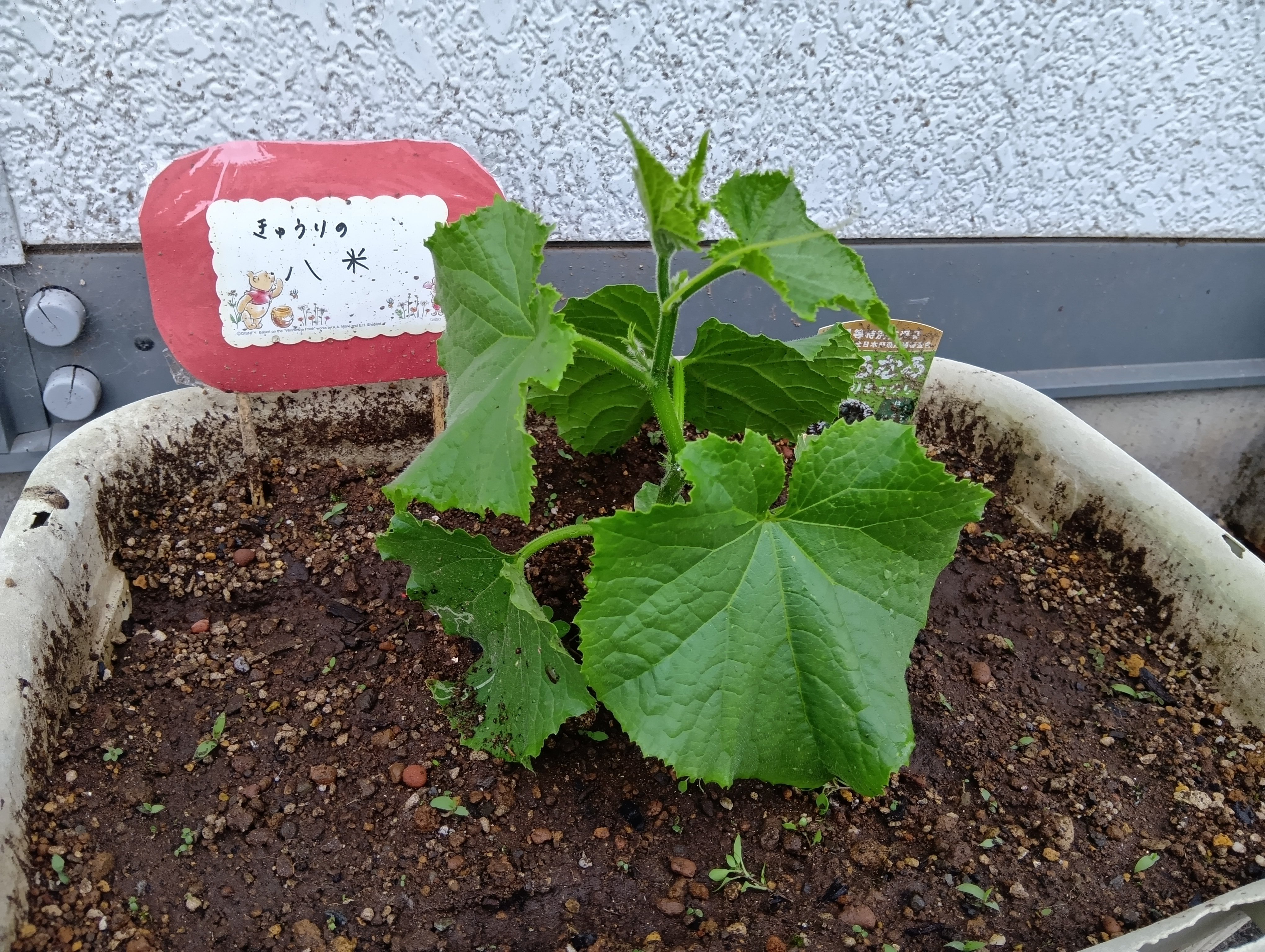 250507170956115.JPG