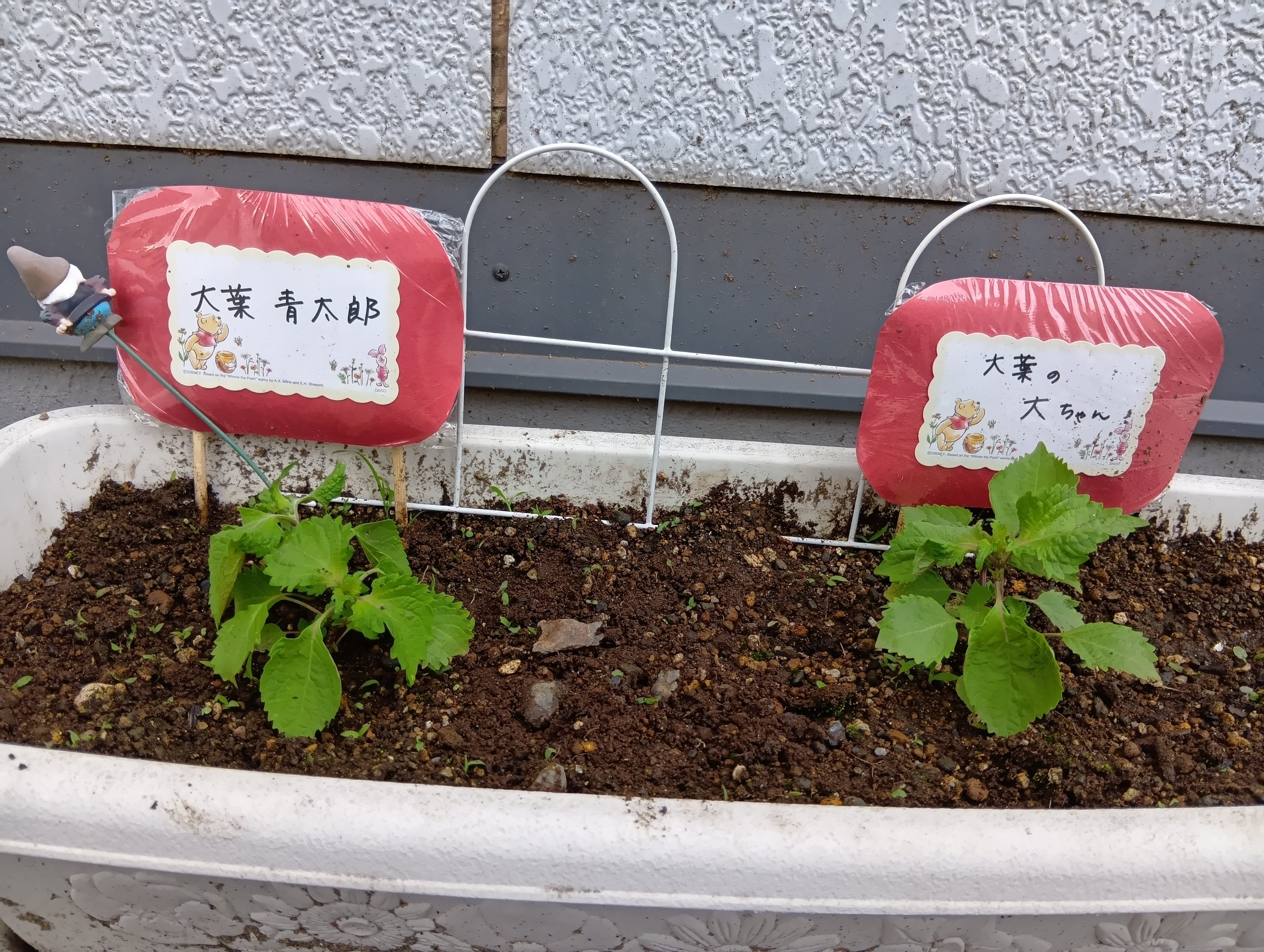 250507171056612.JPG