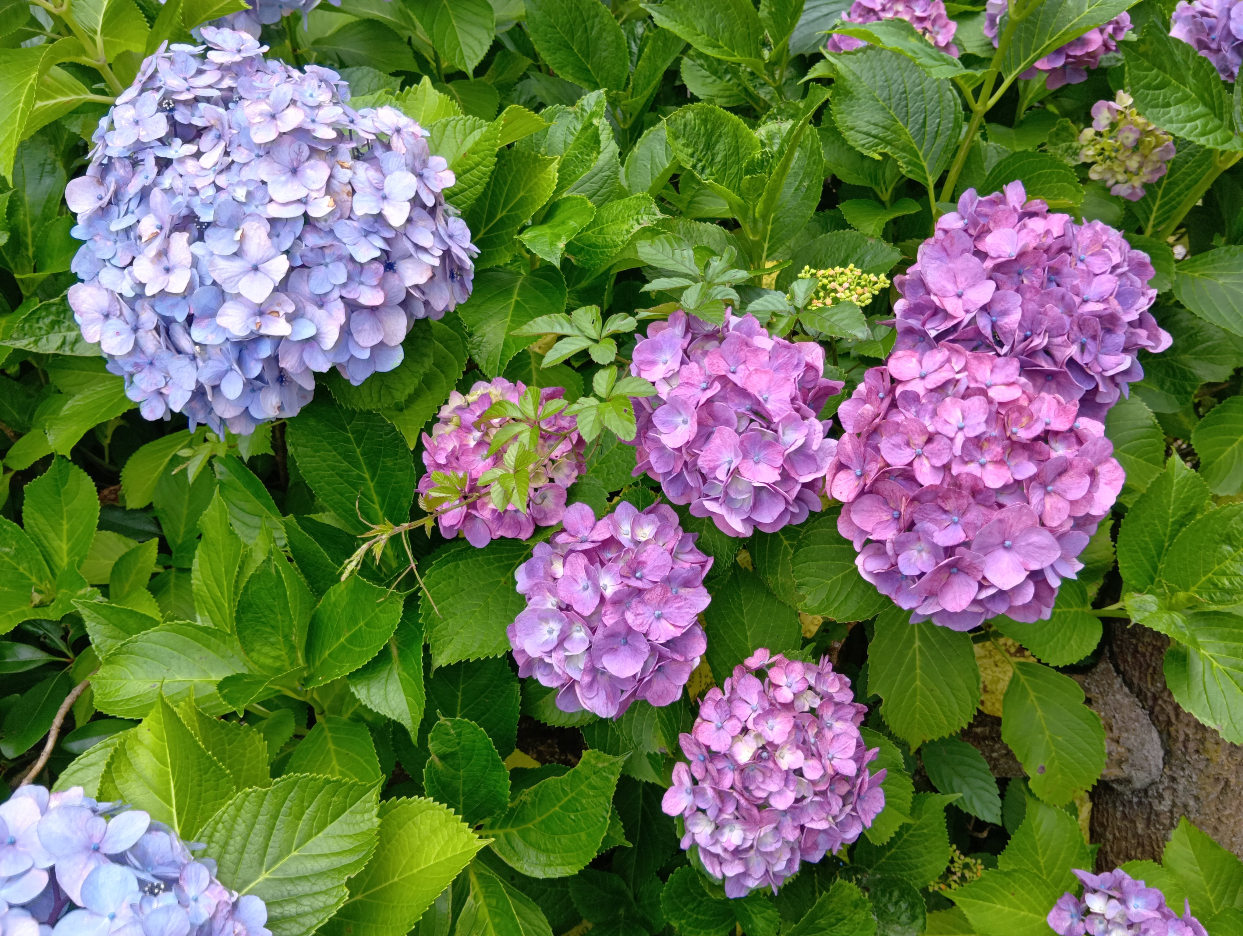 250613114712298.JPG