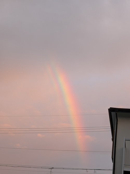 PXL_20260811_093500801.jpg