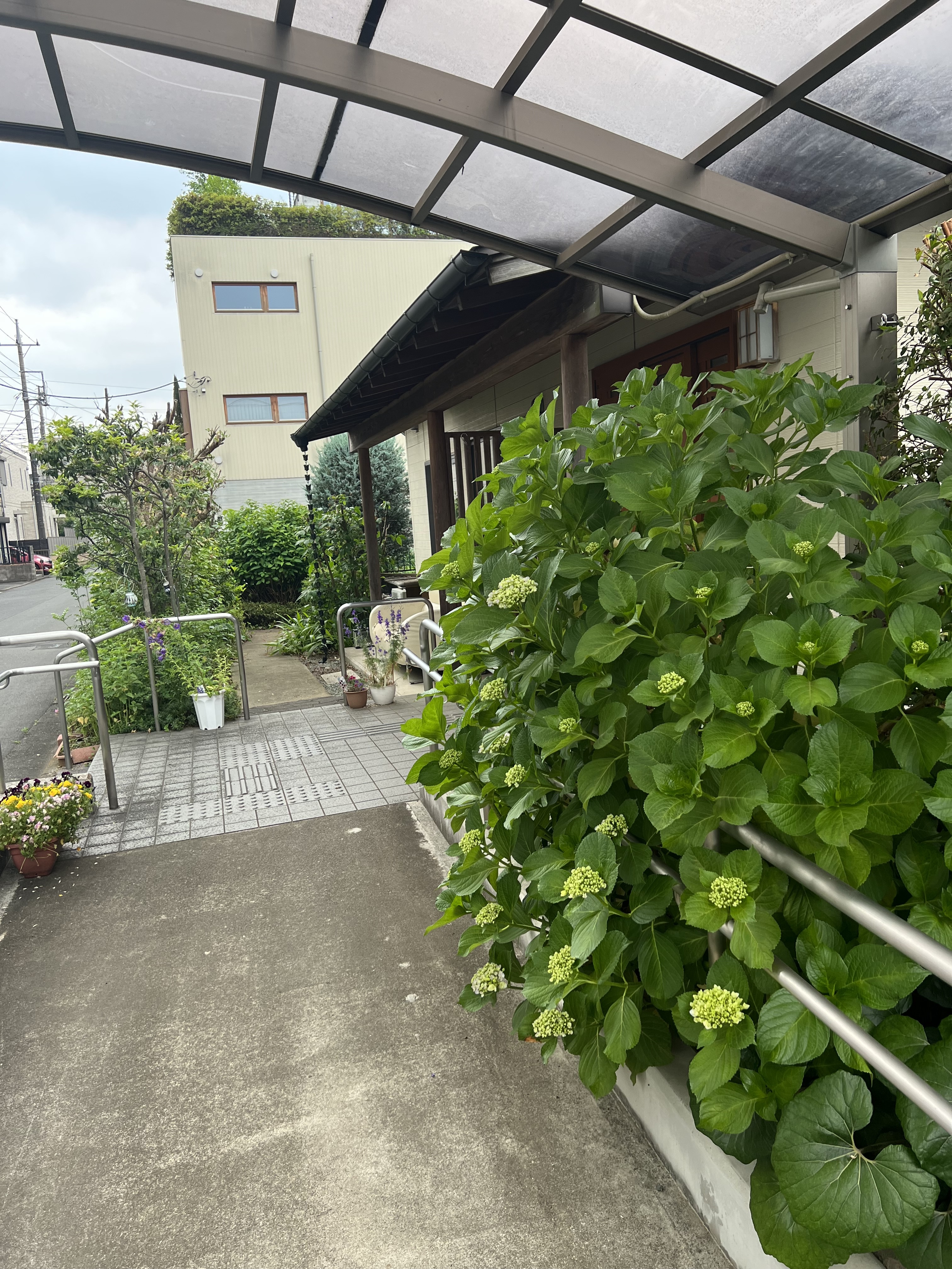 https://blog.magokorokaigo.com/staffblog/suneori-sh/IMG_1873.JPG