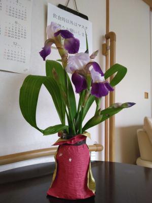 IMG_20230507_090001.jpg