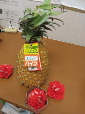 IMG_20230515_110737.jpg