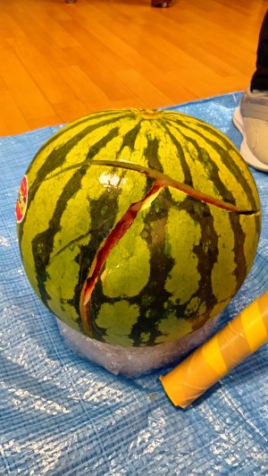 250818104927633.JPG