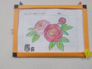 DSCN0024.JPG