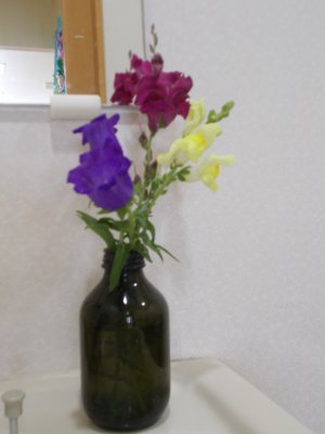 DSCN0256.JPG