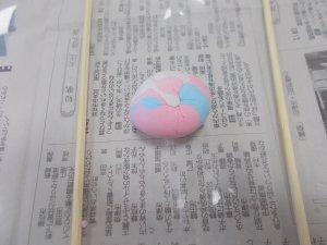 DSCN0133.JPG
