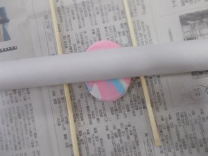 DSCN0134.JPG
