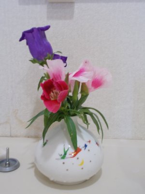 DSCN0257.JPG