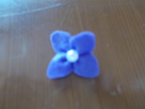 DSCN0004.JPG